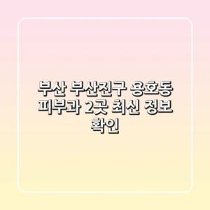 부산 부산진구 용호동 피부과 2곳 최신 정보 확인