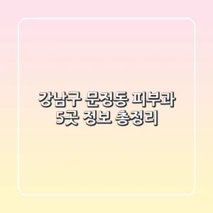 강남구 문정동 피부과 5곳 정보 총정리