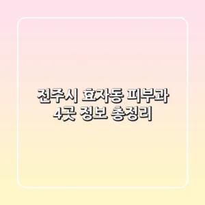 전주시 효자동 피부과 4곳 정보 총정리
