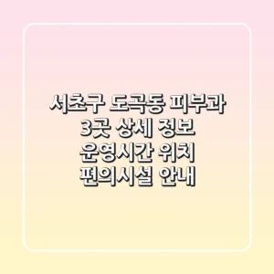 서초구 도곡동 피부과 3곳 상세 정보 - 운영시간, 위치, 편의시설 안내