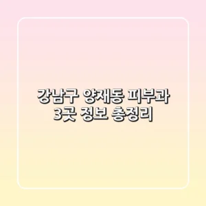 강남구 양재동 피부과 3곳 정보 총정리