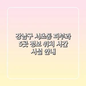 강남구 서초동 피부과 5곳 정보 - 위치, 시간, 시설 안내