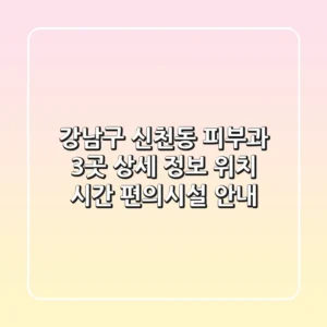 강남구 신천동 피부과 3곳 상세 정보 - 위치, 시간, 편의시설 안내