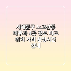 서대문구 노고산동 피부과 4곳 정보 비교 - 위치, 가격, 운영시간 안내