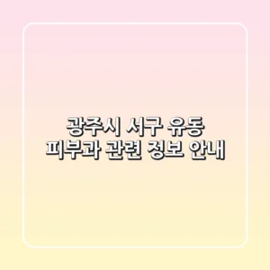 광주시 서구 유동 피부과 관련 정보 안내