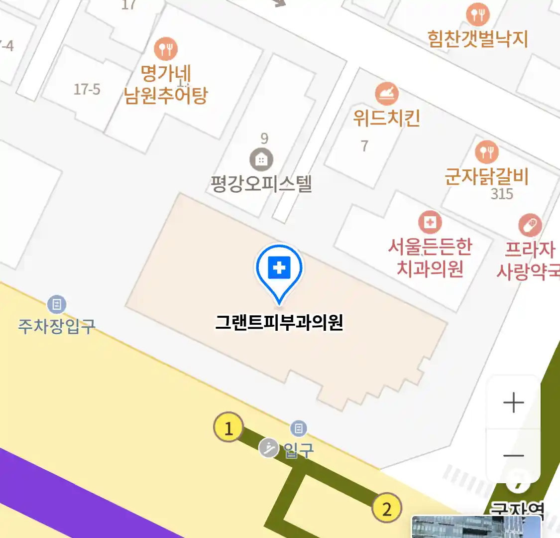 그랜트피부과의원 위치