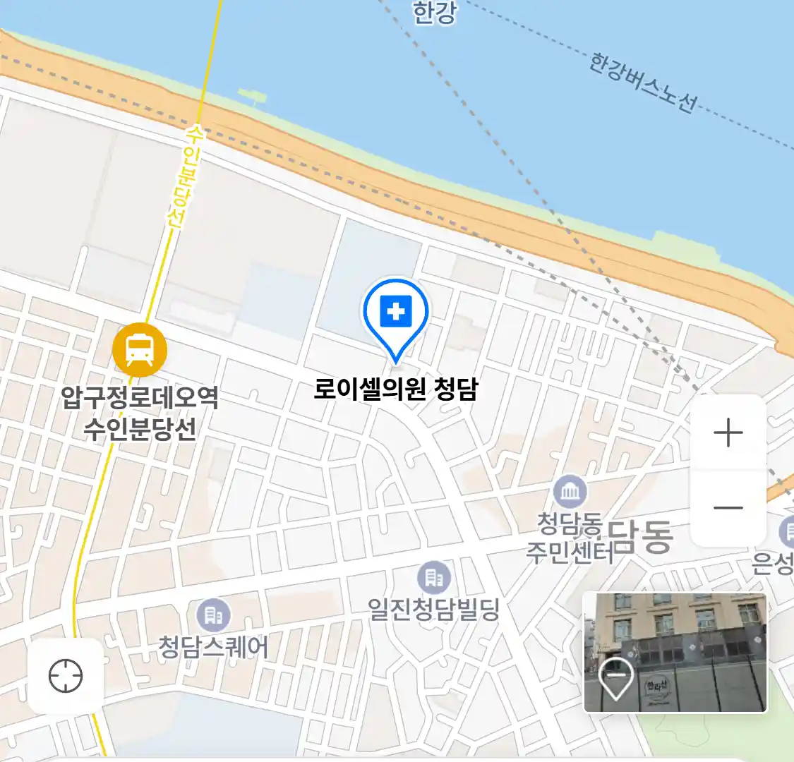 로이셀의원 청담 위치