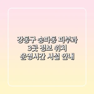 강동구 송파동 피부과 3곳 정보 - 위치, 운영시간, 시설 안내