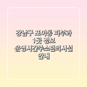 강남구 포이동 피부과 1곳 정보 - 운영시간/주소/편의시설 안내