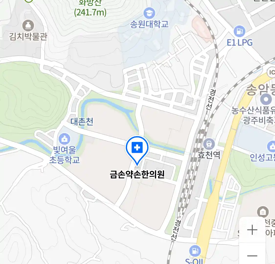 금손약손한의원 위치