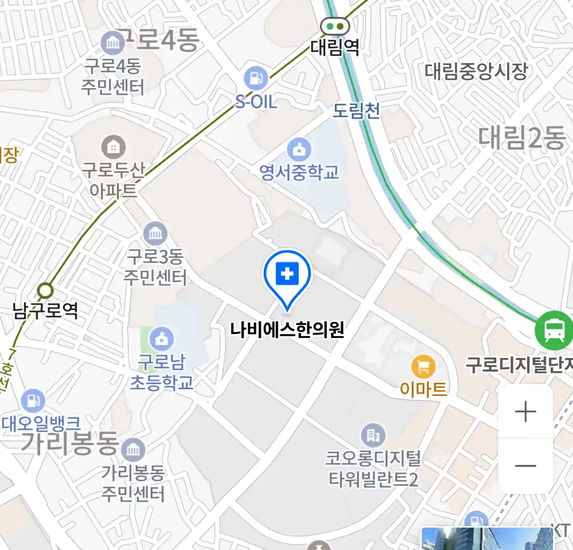 나비에스한의원 위치