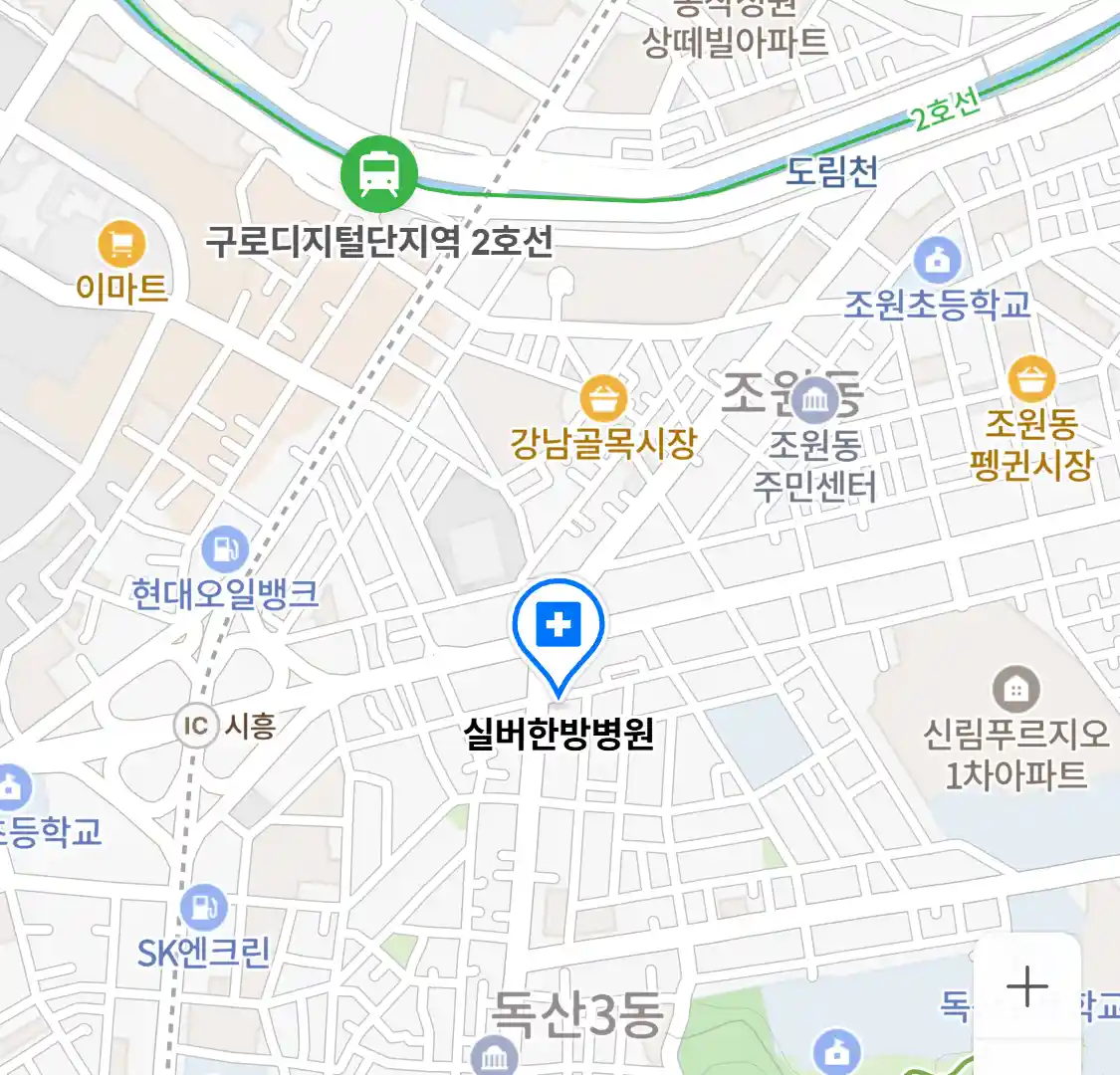 실버한방병원 위치
