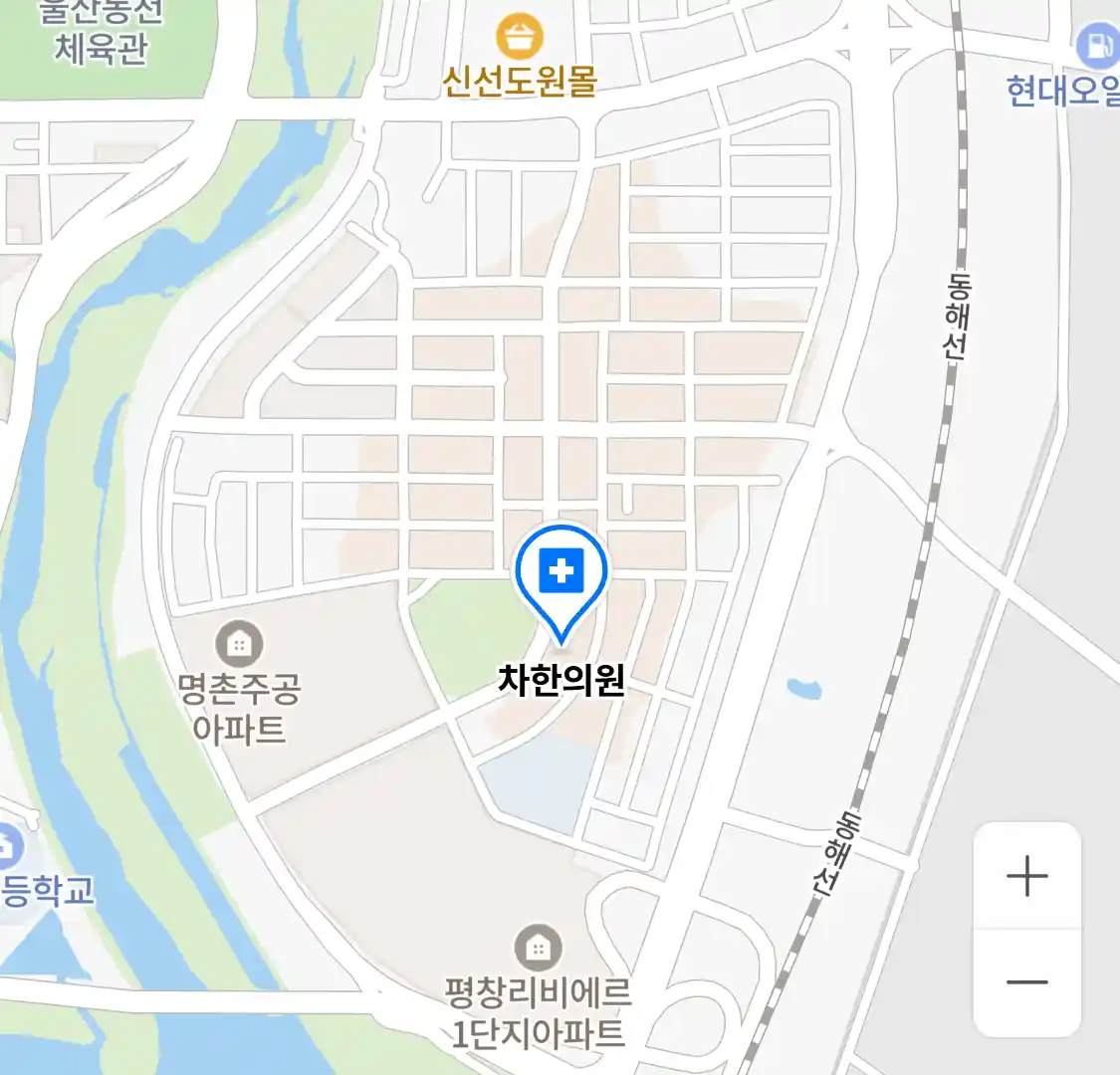차한의원 위치