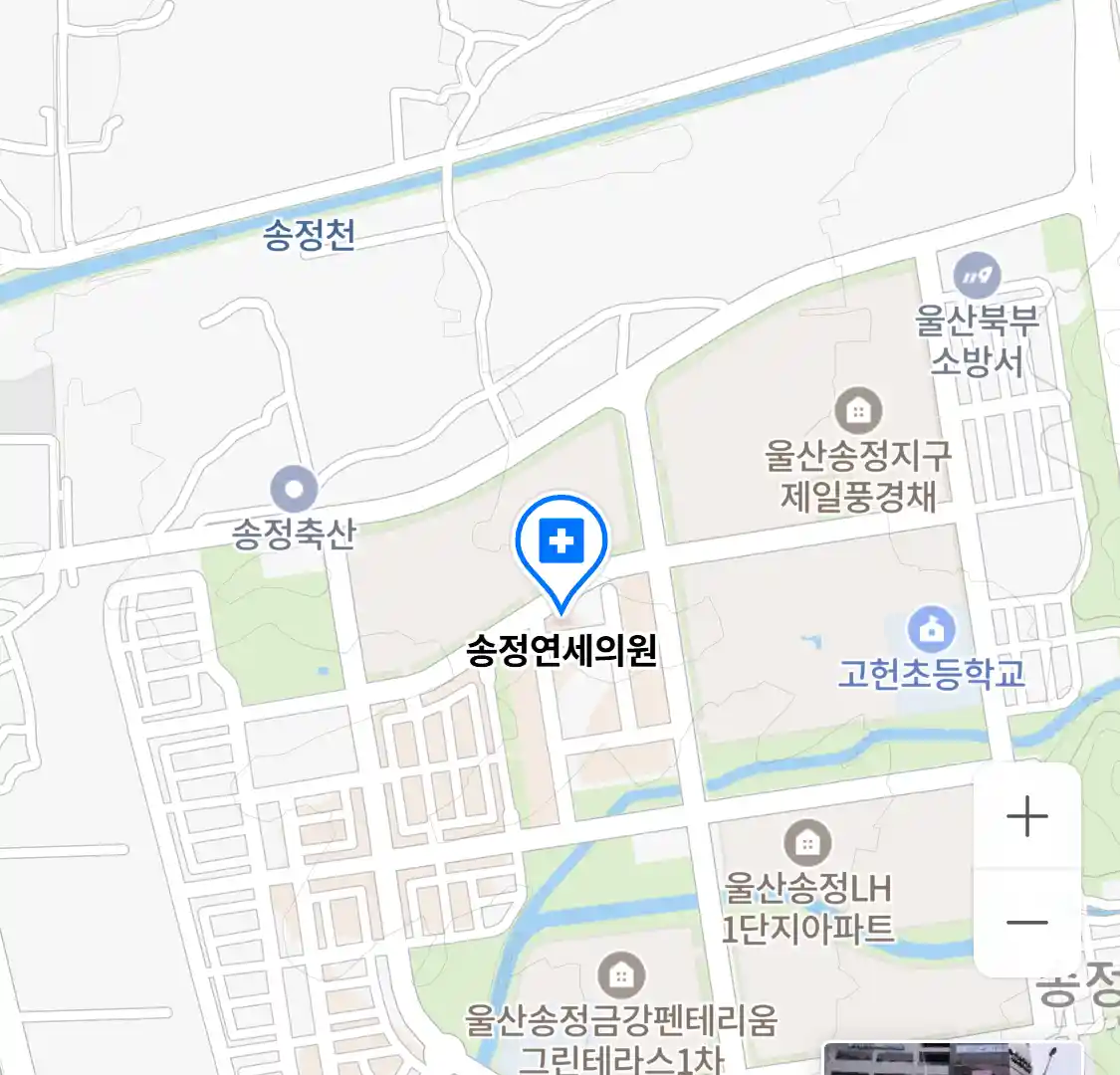 송정연세의원 위치