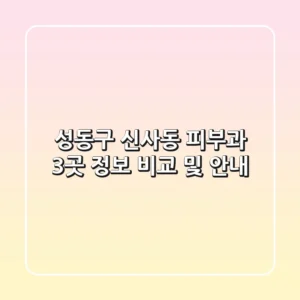 성동구 신사동 피부과 3곳 정보 비교 및 안내