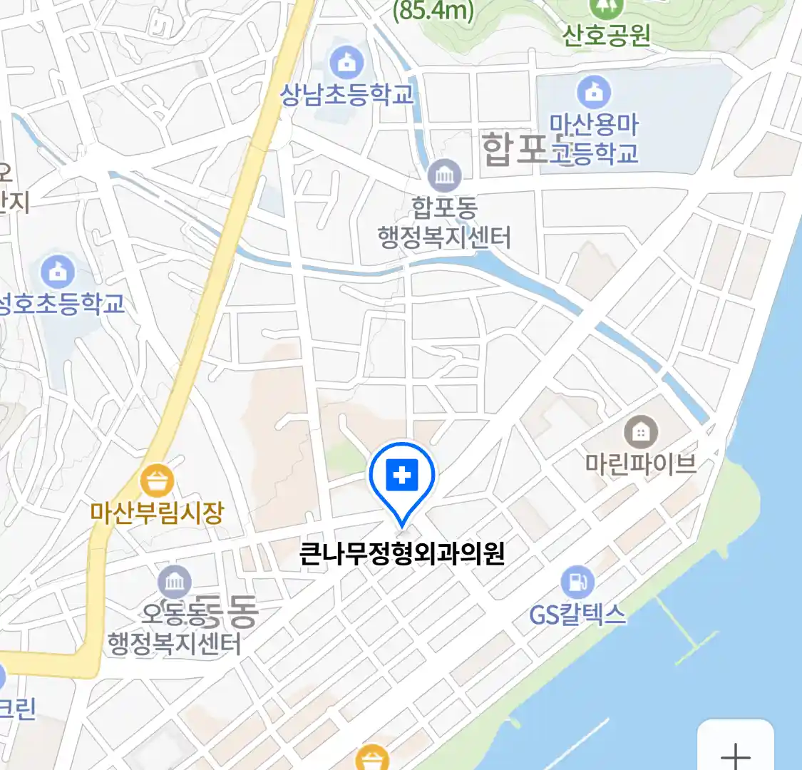 큰나무정형외과의원 위치