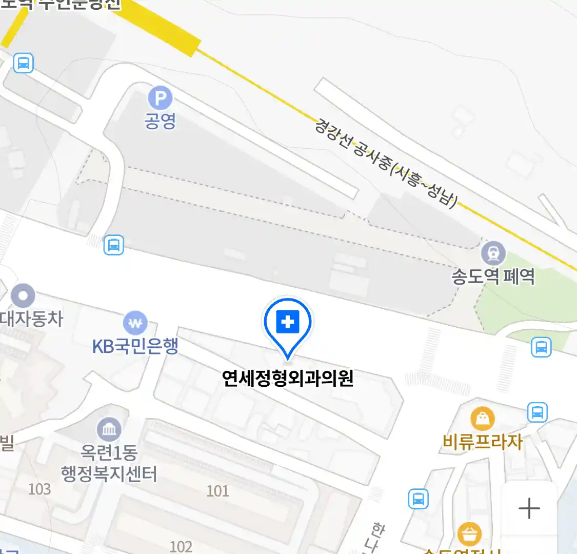 연세정형외과의원 위치