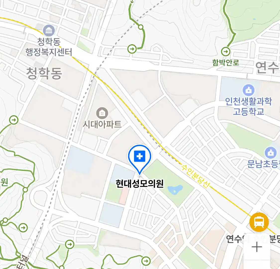 현대성모의원 위치