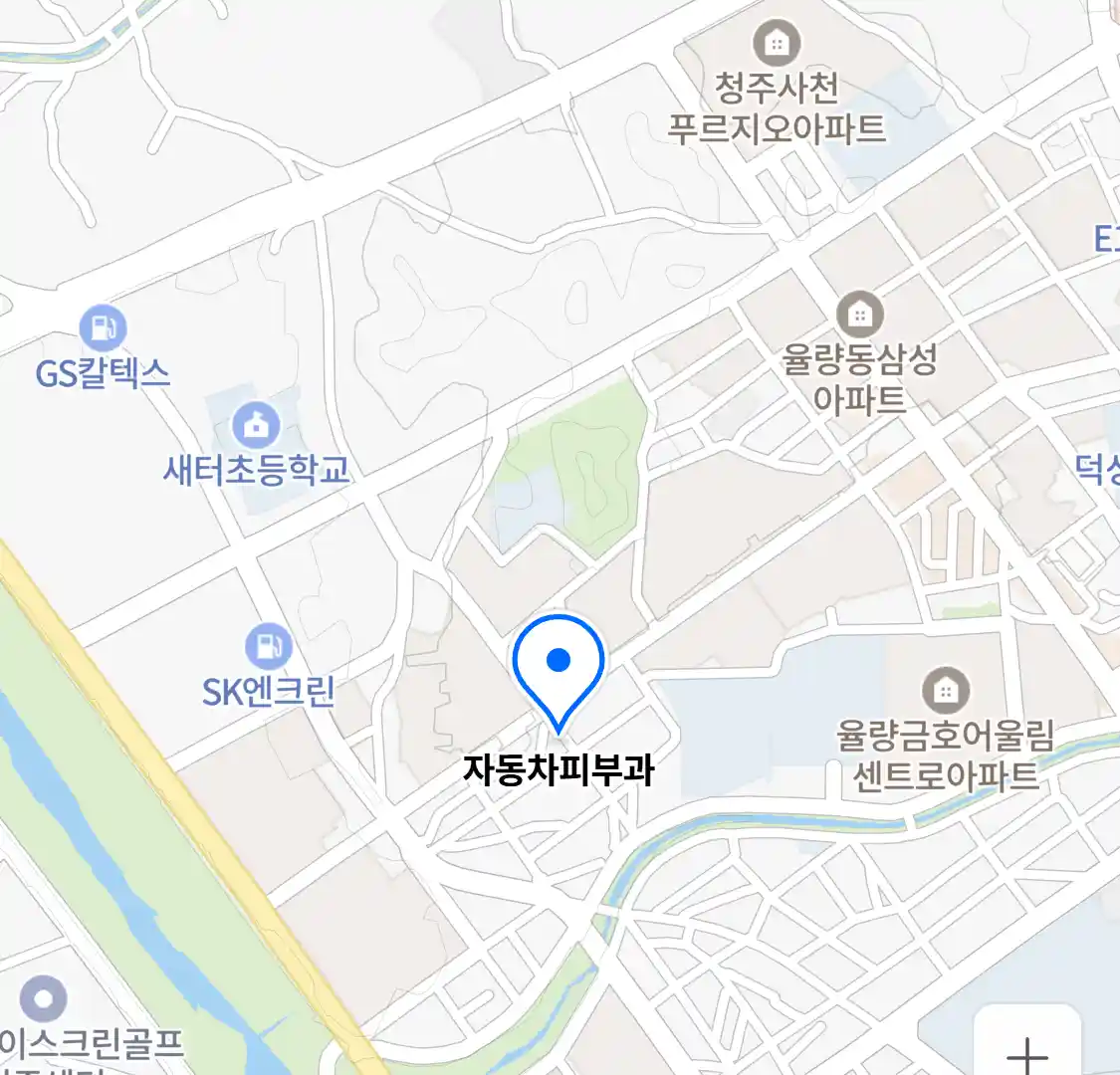 자동차피부과 위치